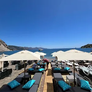 Lale 4* Turunç