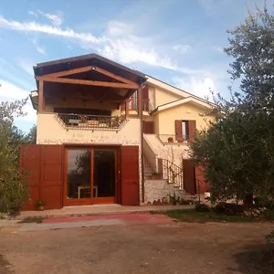 Degli Ulivi , Ossi Italia